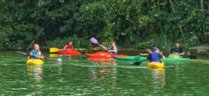 Rowing Kayak 