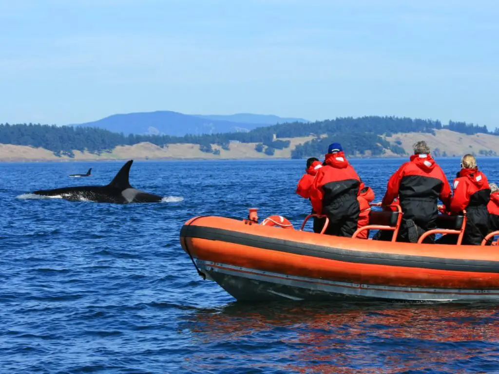 A group of individuals on a boat enjoying a leisurely ride.