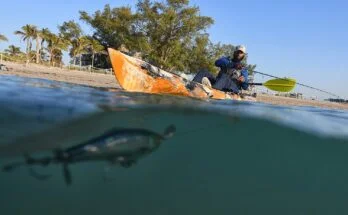 Ocean Kayaks