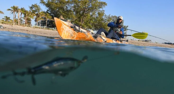 Ocean Kayaks