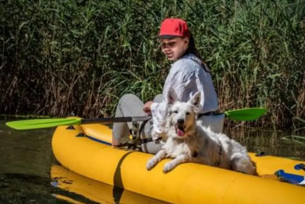 kayaking with dog 